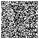 QR code with Cecile R Bassen Pllc contacts