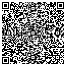 QR code with Cybage Software Inc contacts