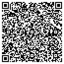 QR code with Prism Consulting Inc contacts