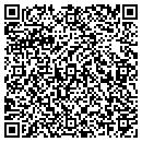 QR code with Blue Tree Publishing contacts
