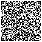 QR code with Blu Sky Web Solutions LLC contacts