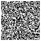 QR code with Blu Sky Web Solutions LLC contacts