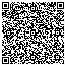QR code with Carpi Nelli Gallery contacts