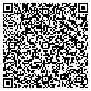 QR code with Pyramid Image Lab contacts