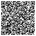 QR code with Synexe contacts