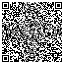 QR code with Bluejay Technologies contacts