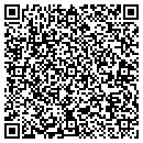QR code with Professinal Registry contacts