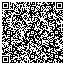 QR code with Cypress Software Inc contacts