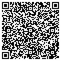QR code with R M contacts