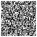 QR code with Preview Properties contacts
