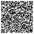 QR code with Rumors contacts