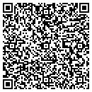 QR code with Pythian Salon contacts