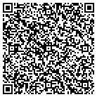 QR code with Pulse Alternative School contacts