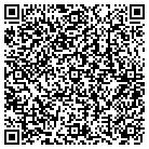 QR code with Puget Sound Internet LLC contacts
