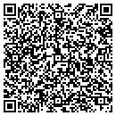 QR code with Pure Mfg & Design contacts