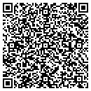 QR code with Cronin Construction contacts