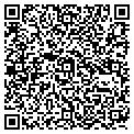 QR code with Ziggys contacts