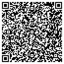 QR code with Pro-Flight Avionics contacts