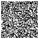 QR code with Purrr Auto Sales contacts