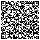 QR code with Coleman Tile & Stone contacts
