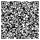 QR code with Pro Touch Up contacts