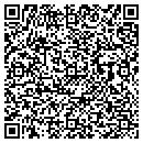 QR code with Public Works contacts