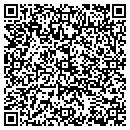 QR code with Premier Fence contacts