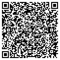 QR code with Daltile contacts