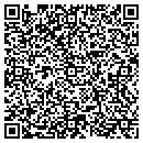 QR code with Pro Roofing Inc contacts