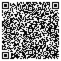 QR code with Tintngo contacts