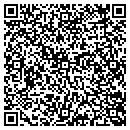 QR code with Cobalt Multimedia Inc contacts