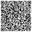 QR code with Plumb Level Construction contacts