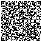 QR code with Public Safety Testing contacts
