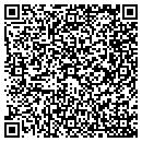 QR code with Carson Electric Inc contacts