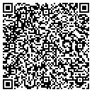 QR code with Christine Apartments contacts
