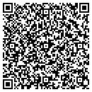 QR code with Profit Consulting contacts