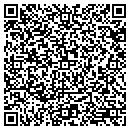 QR code with Pro Roofing Inc contacts
