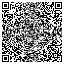 QR code with Pyramid Electric contacts