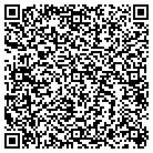 QR code with Pulsion Medical Systems contacts