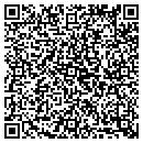 QR code with Premier Services contacts