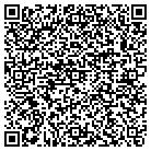 QR code with Terrysgig Consulting contacts