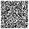 QR code with Q Lube contacts