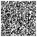QR code with Carl T Guess Writer contacts