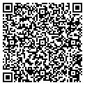 QR code with N Babak contacts