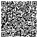QR code with Antika contacts