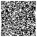 QR code with Custom Chimney Sweep contacts