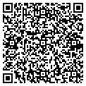 QR code with Shell contacts