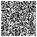 QR code with Problem Solver contacts