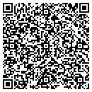 QR code with Brier Public Library contacts