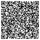 QR code with Blue Reptile Systems contacts